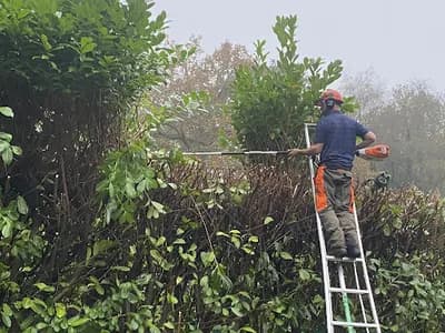 Future Grounds Care Ltd — waste collection