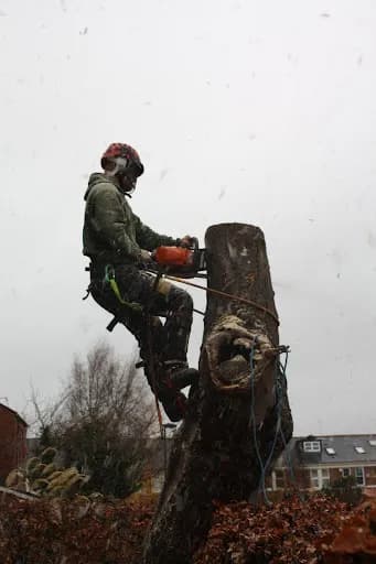 Oakfield Tree & Hedge Services Limited — waste collection