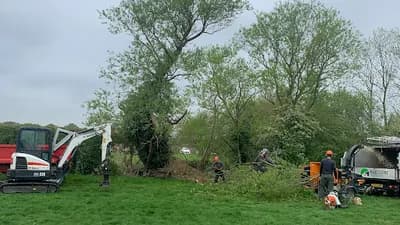 Kinch Tree Surgeons Limited — waste collection