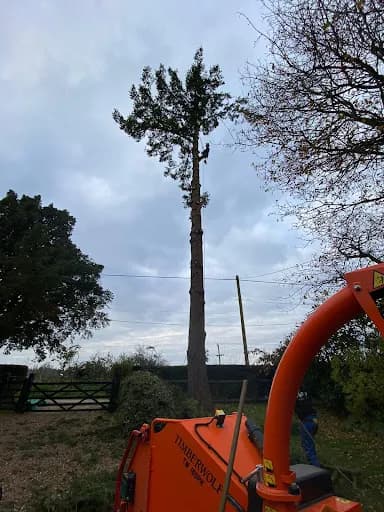 Tip Top Tree Surgeons — waste collection