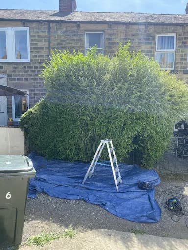 Jrb Property Cleaning & Clearance Services — waste collection