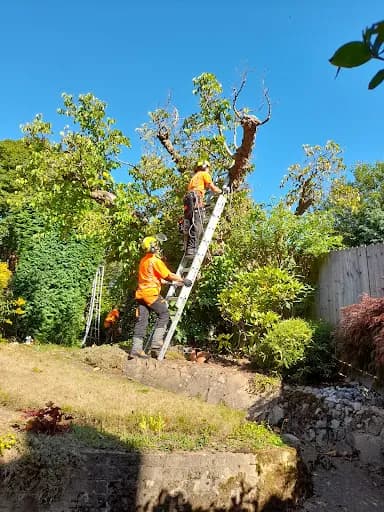 Westside Forestry Limited — waste collection