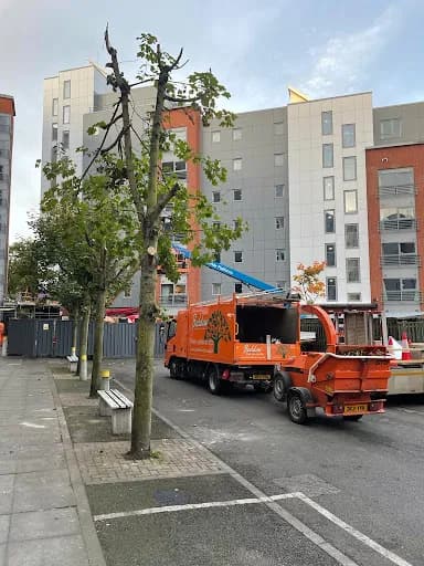 Beddow Tree Limited — waste collection