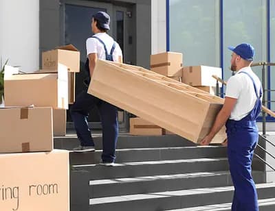 Anytime Removal — waste collection