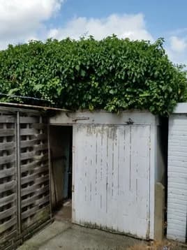 Caroline Joyce Trading As Asc Waste Management — waste collection