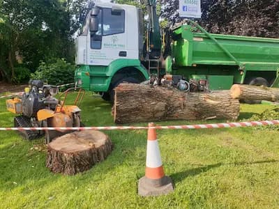 Doctor Tree Ltd — waste collection