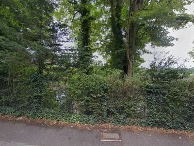Surrey County Skips Ltd — waste collection