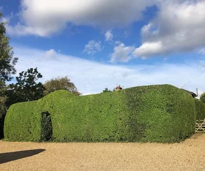 Lumberjack Tree Maintenance Limited Trading As Lumberjack Tree Maintenance Ltd — waste collection