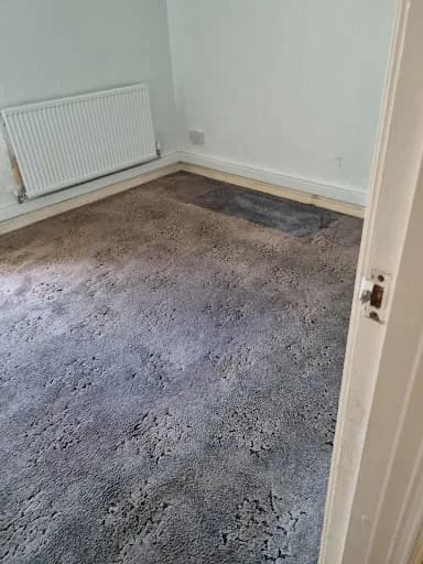 Sheffield Clearance Service — waste collection