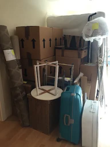 Mr. Tee Removals Services — waste collection