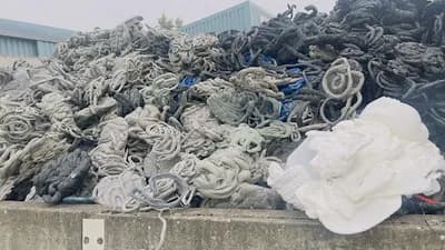 Hf Recycle — waste collection