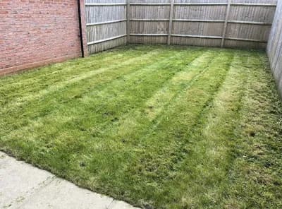 The Grass Guru Limited — waste collection
