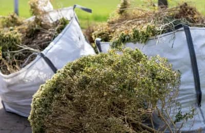 South Coast Metal Recycling and Waste Clearance — waste collection
