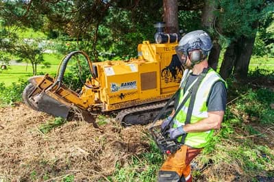 Wainwright Tree Stump Removal Ltd — waste collection