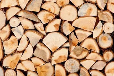 Bear Valley Timber Ltd — waste collection
