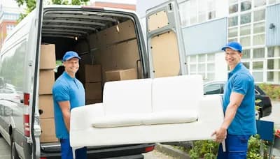 Wills Removals — waste collection