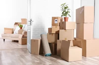 Jurassic House Clearance Company — waste collection