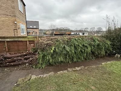 George Salter Trading As Taskforce: Removals — waste collection