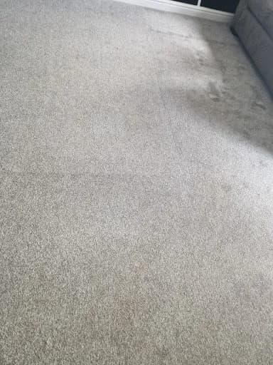 Spotless Cleaning Services Dn Ltd — waste collection