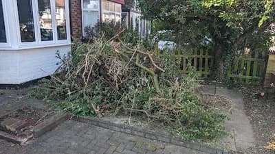 Ez Waste Removals Ltd — waste collection