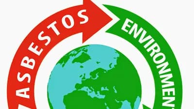 Asbestos Environmental Removals Limited — waste collection