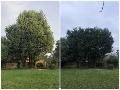 Evolutions Developments and Groundworks Ltd — waste collection