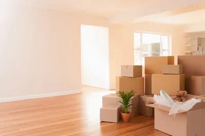 Mark Jarvis Trading As Mark Jarvis House Clearance — waste collection
