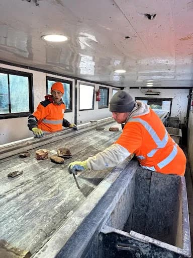 Sussex Waste Management Ltd — waste collection