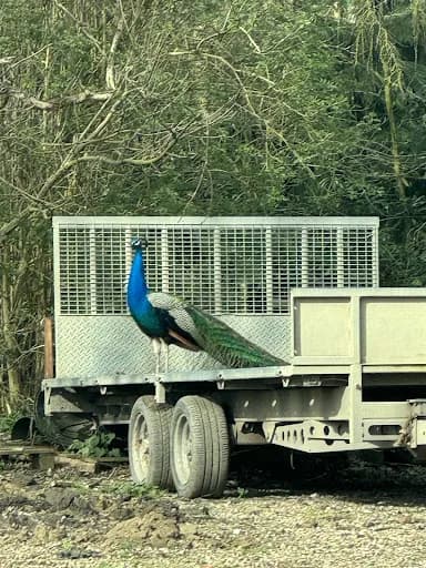 M E C Recycling Limited — waste collection
