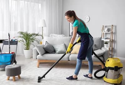 Impact Cleaners and Removals Ltd — waste collection