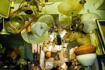 D M Everard Trading As La Belle & Cornwall House Clearances — waste collection