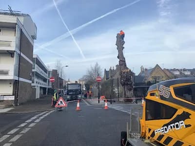 Red Squirrel Tree Surgery Ltd — waste collection