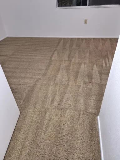 First Class Cleaning Services Ltd — waste collection