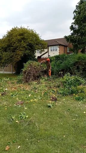 Tree Perfect Ltd — waste collection