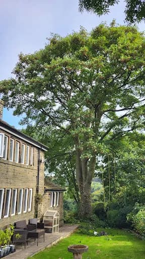 Keighley Tree Services Limited — waste collection