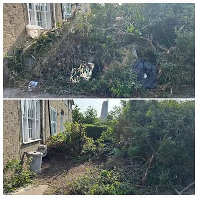 Woodsies Waste — waste collection
